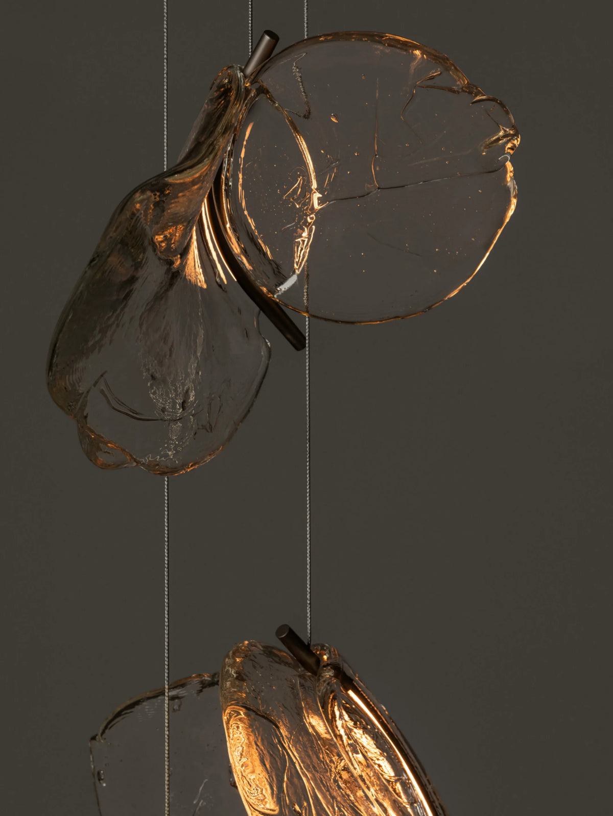 Bocci 141 lampe i klart glass med svevende, vingeinspirert silhuett