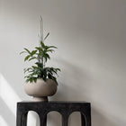 Kabin Vase Fat