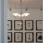 PH 3/2 Academy Stammekrone