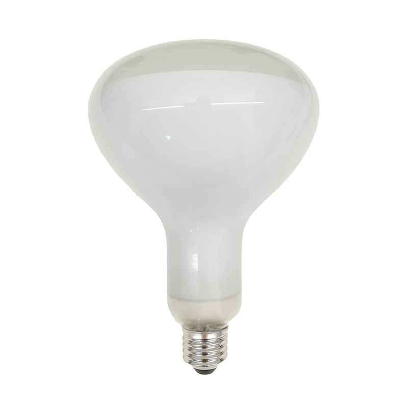 Flos Parentesi RF32366 Lyspære