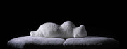 Pack Sofa