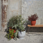 Lilium Outdoor Benk