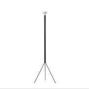 Flos Luminator Gulvlampe